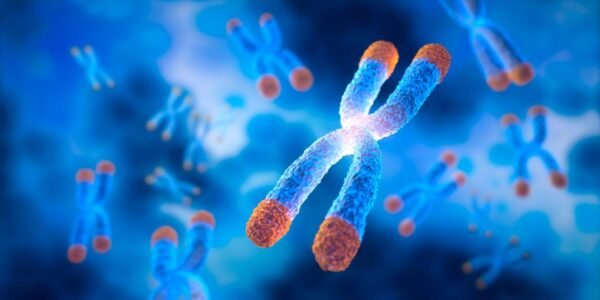 Youth Index (Telomere Length Test)